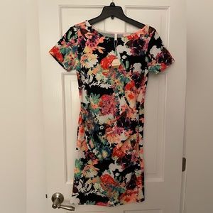 PinkBlush Maternity Dress